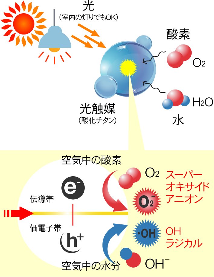 エコララ光触媒コート